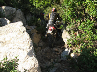 IMG_0790.JPG (1639680 byte)