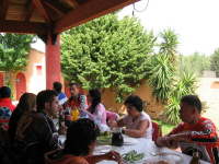 IMG_1059.JPG (340372 byte)
