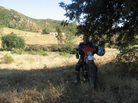 IMG_1390.JPG (926430 byte)